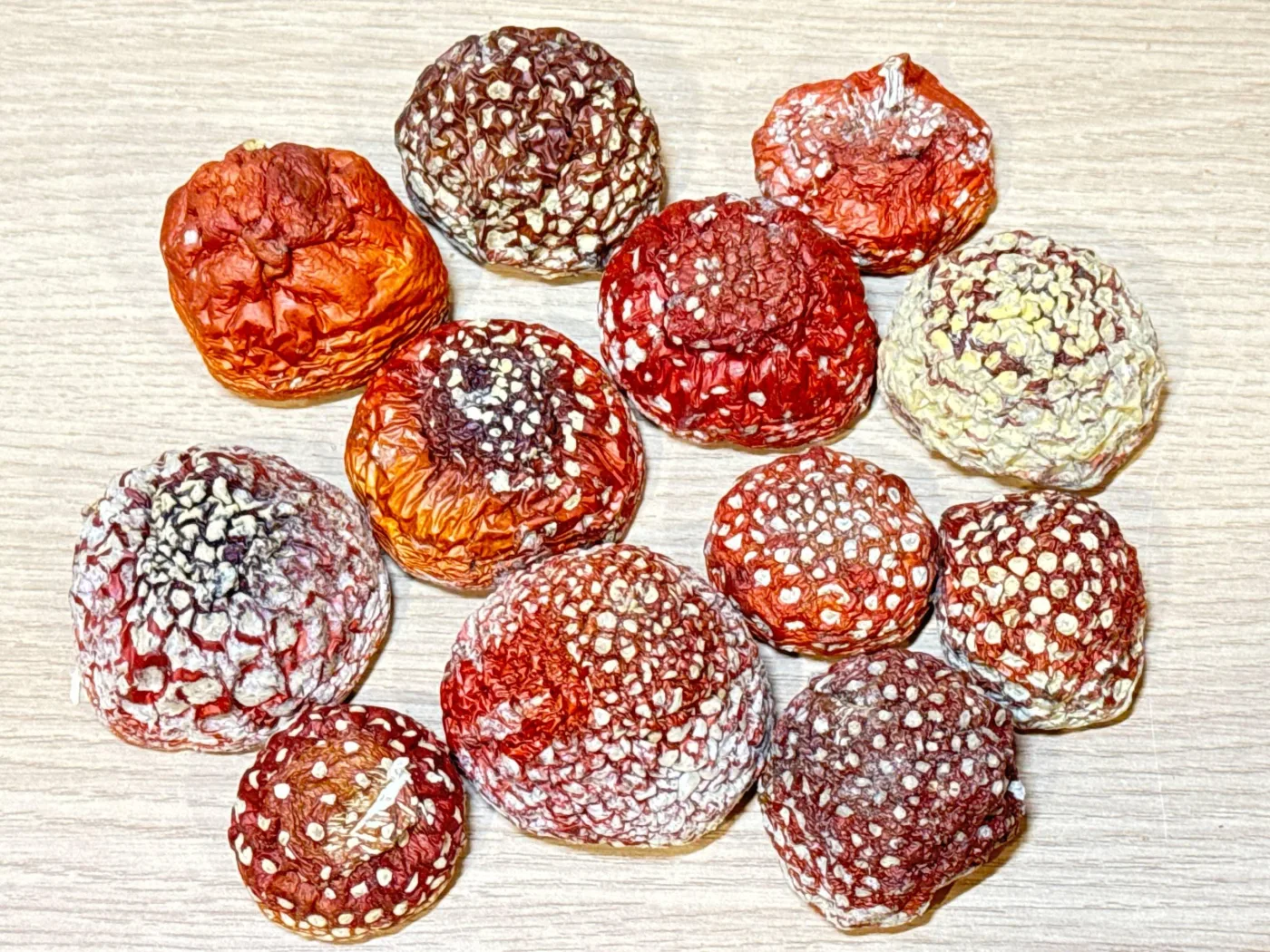 Сушёные шляпки красного мухомора Amanita muscaria: цвет от алого до оранжево-кирпичного, белые хлопья на кожице