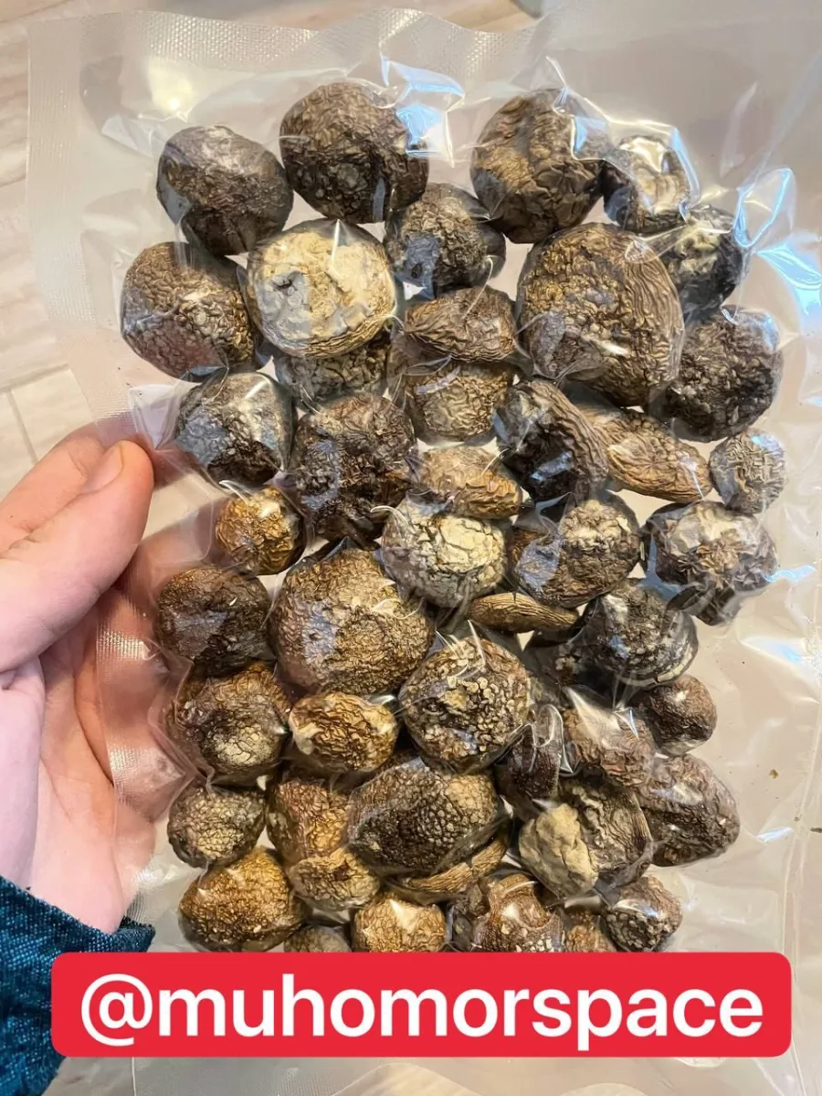 Партия после сушки