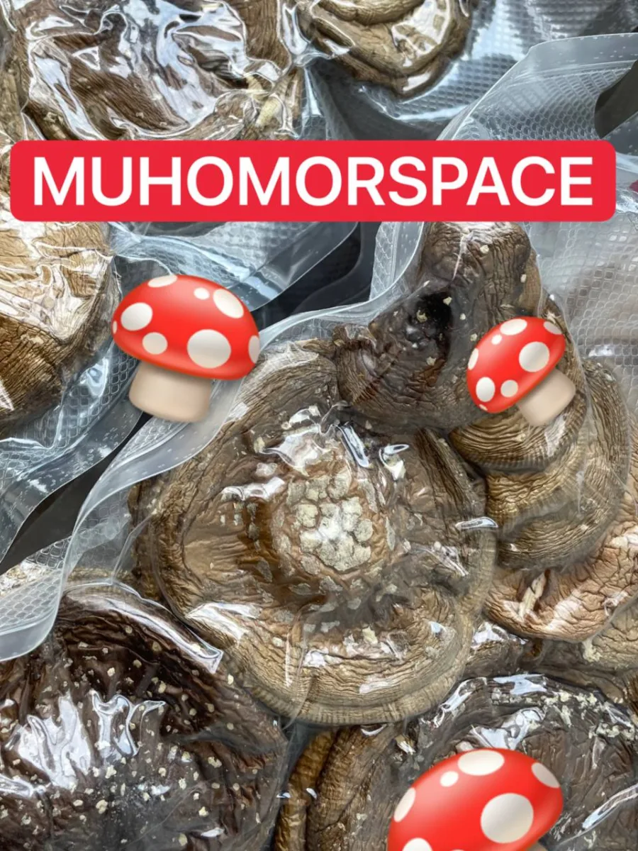 Цельные шляпки пантерного мухомора крупным планом в вакуумной упаковке