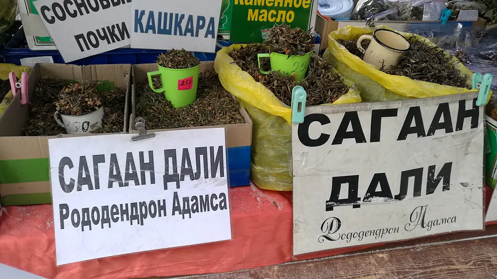 Прилавок на Центральном рынке Иркутска зимой: в картонных коробках и жёлтых мешках сушёные облиственные веточки саган-дайли с воткнутыми кружками-мерками, на переднем плане таблички «Сагаан дали. Рододендрон Адамса», на заднем — таблички «Кашкара», «Сосновые почки» и «Каменное масло»