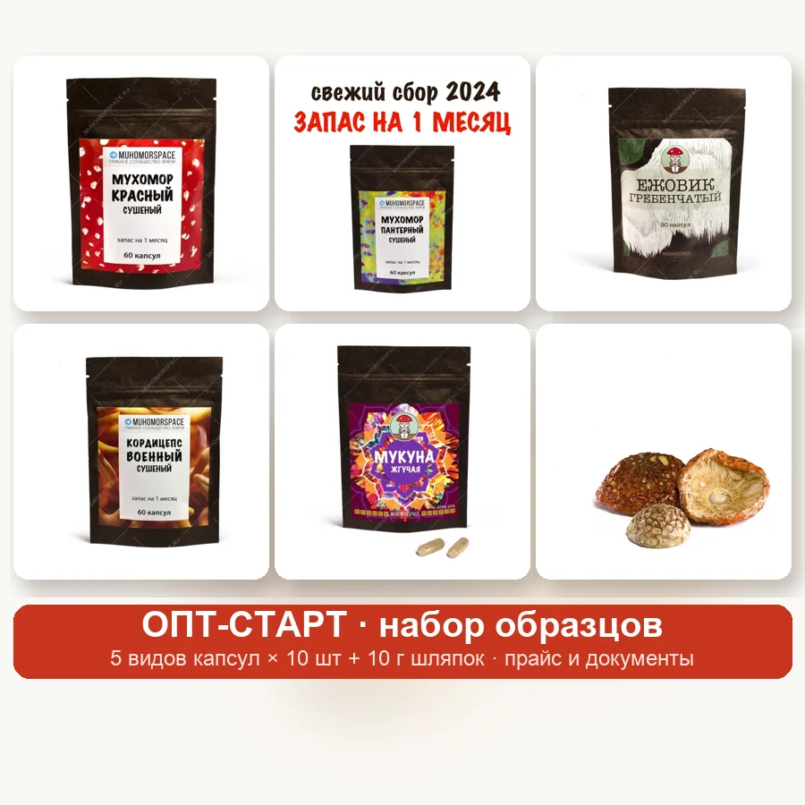 Опт-старт: набор образцов для партнёров