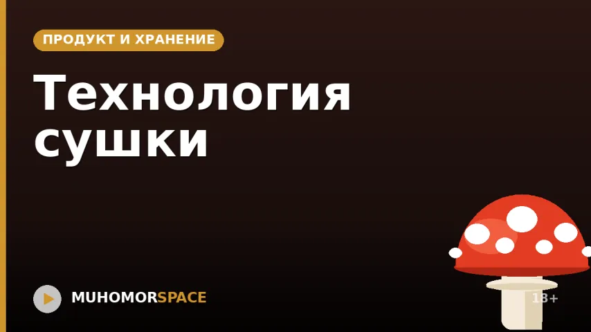 Технология сушки