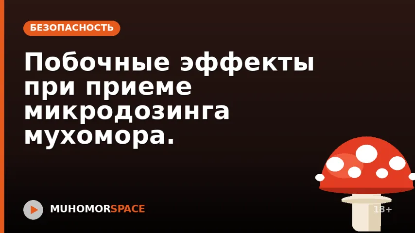 Побочные эффекты при приеме микродозинга мухомора.