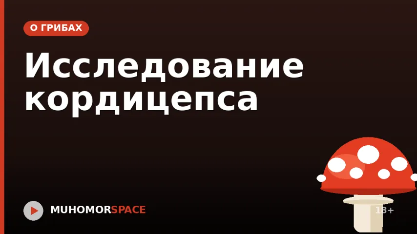 Исследование кордицепса