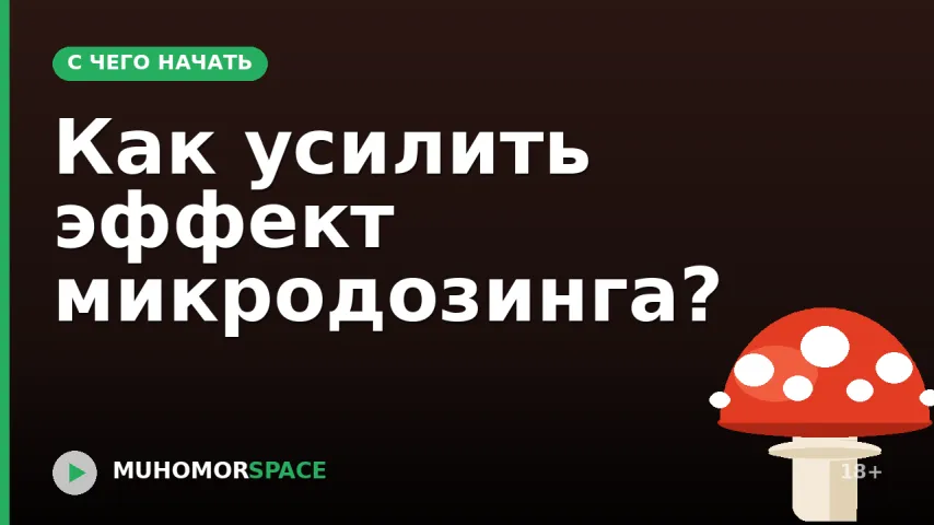 Как усилить эффект микродозинга?