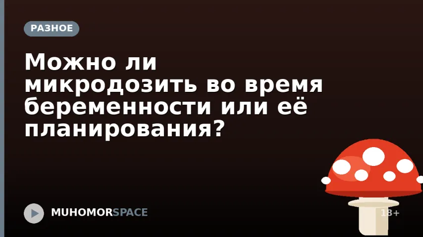 Можно ли микродозить во время беременности или её планирования?