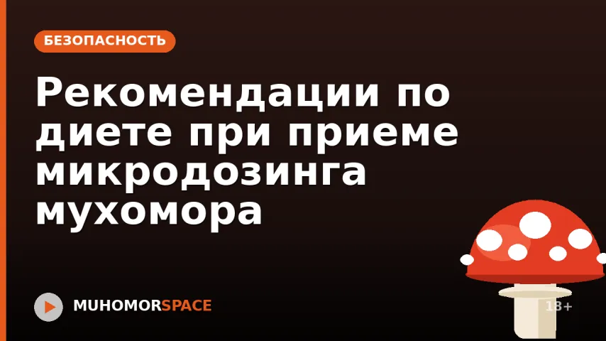 Рекомендации по диете при приеме микродозинга мухомора