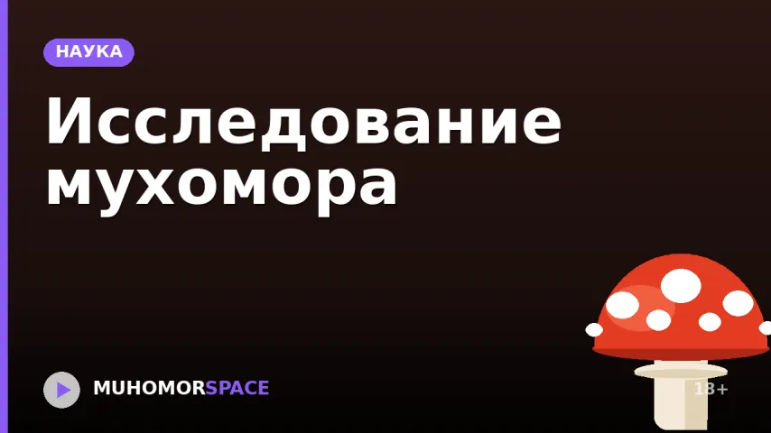 Исследование мухомора
