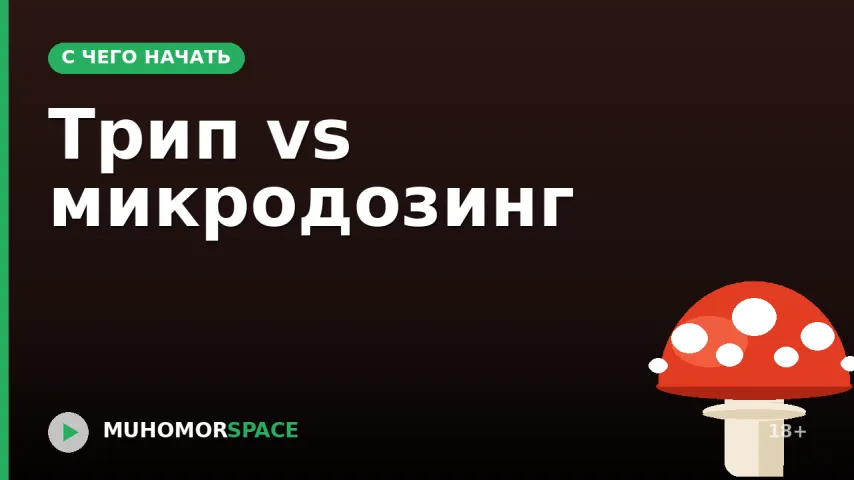 Трип vs микродозинг