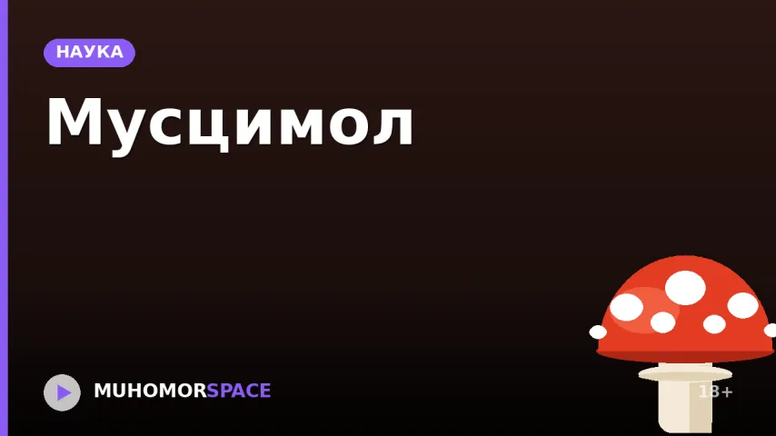 Мусцимол