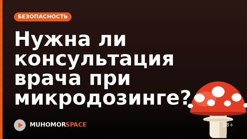 Нужна ли консультация врача при микродозинге?