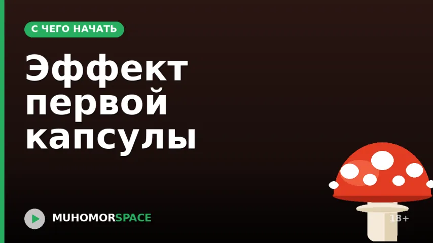 Эффект первой капсулы