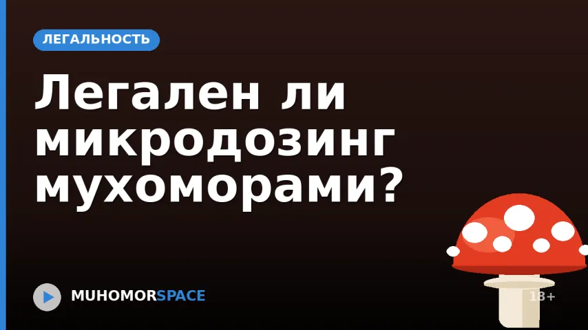 Легален ли микродозинг мухоморами?