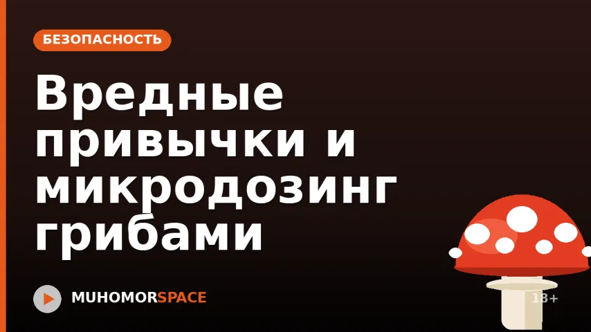 Вредные привычки и микродозинг грибами