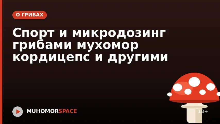 Спорт и микродозинг грибами мухомор кордицепс и другими