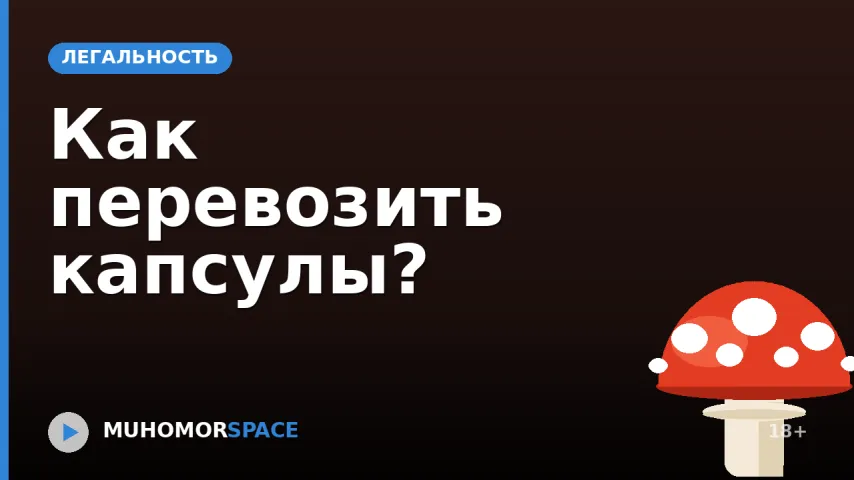Как перевозить капсулы?
