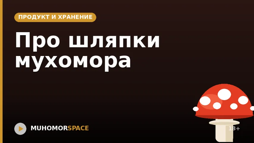 Про шляпки мухомора