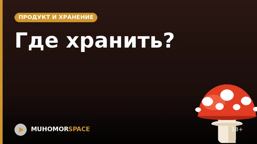 Где хранить?