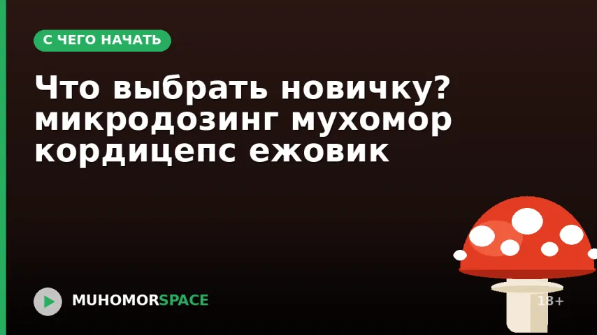 Что выбрать новичку? микродозинг мухомор кордицепс ежовик