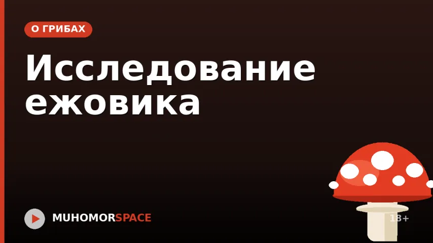 Исследование ежовика