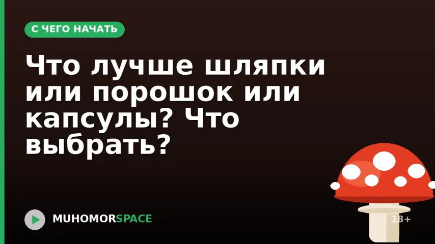 Что лучше шляпки или порошок или капсулы? Что выбрать?